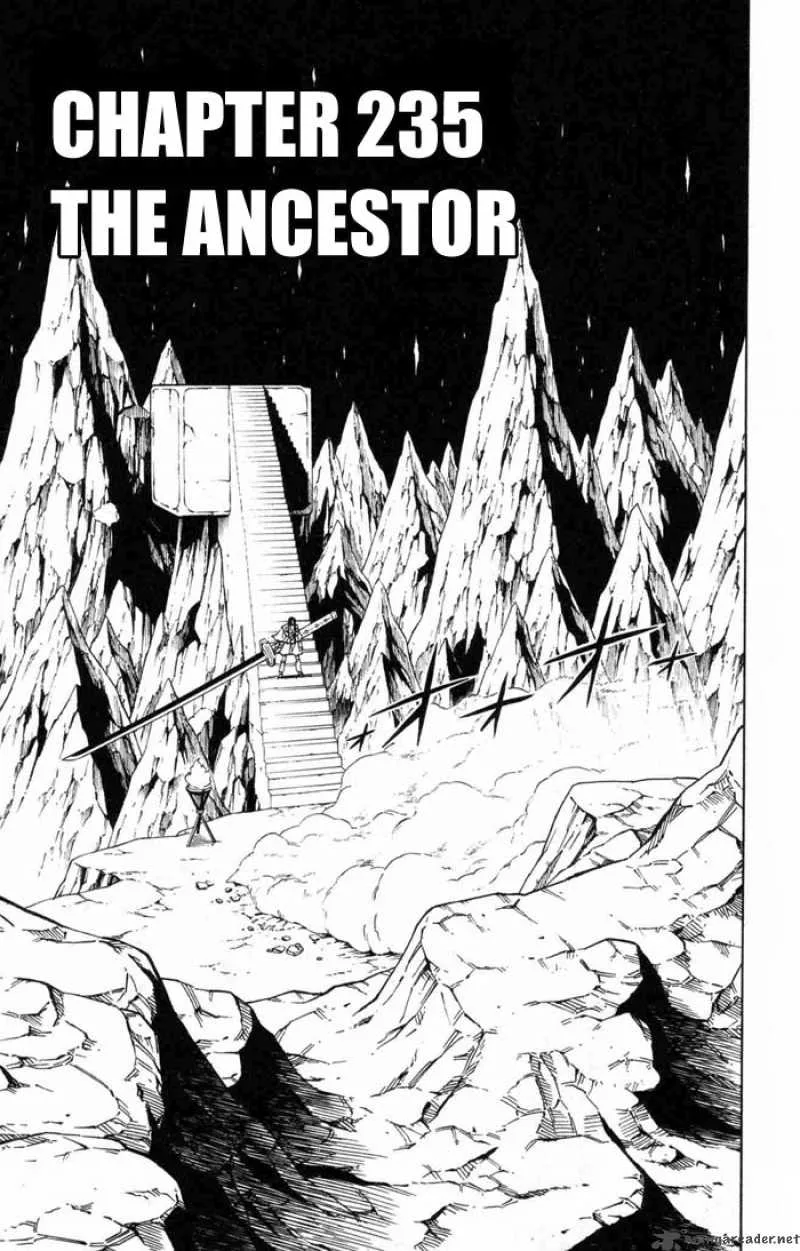 Shaman King Chapter 235 page 3