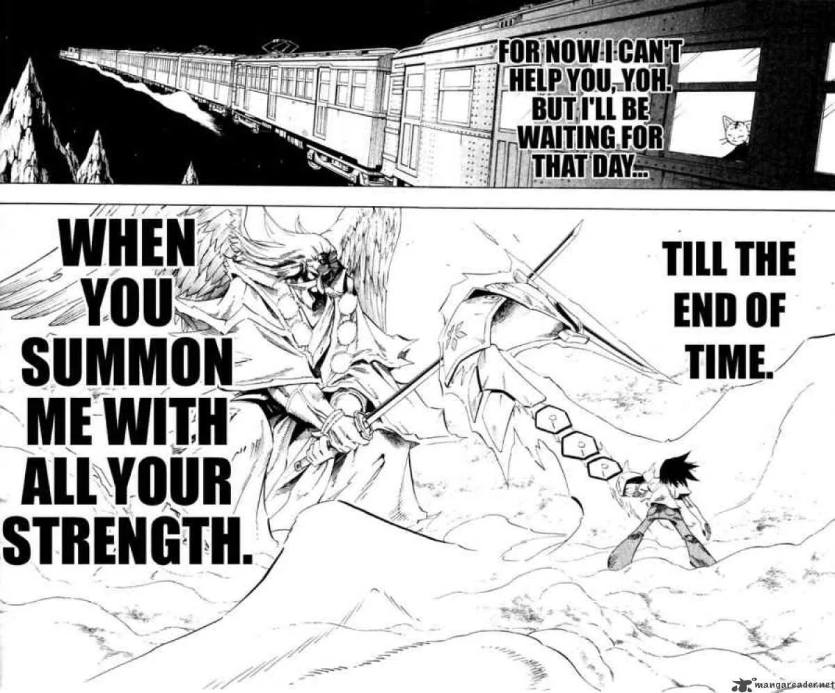 Shaman King Chapter 236 page 14