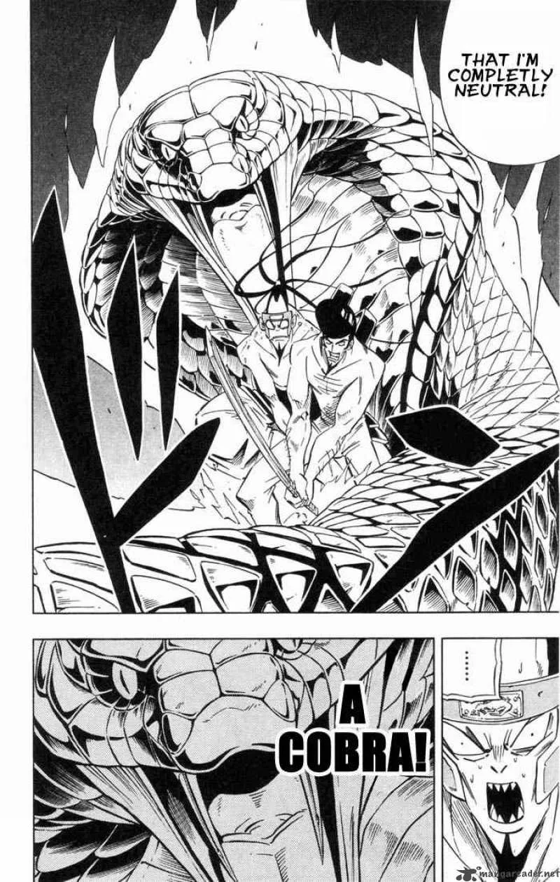 Shaman King Chapter 238 page 6