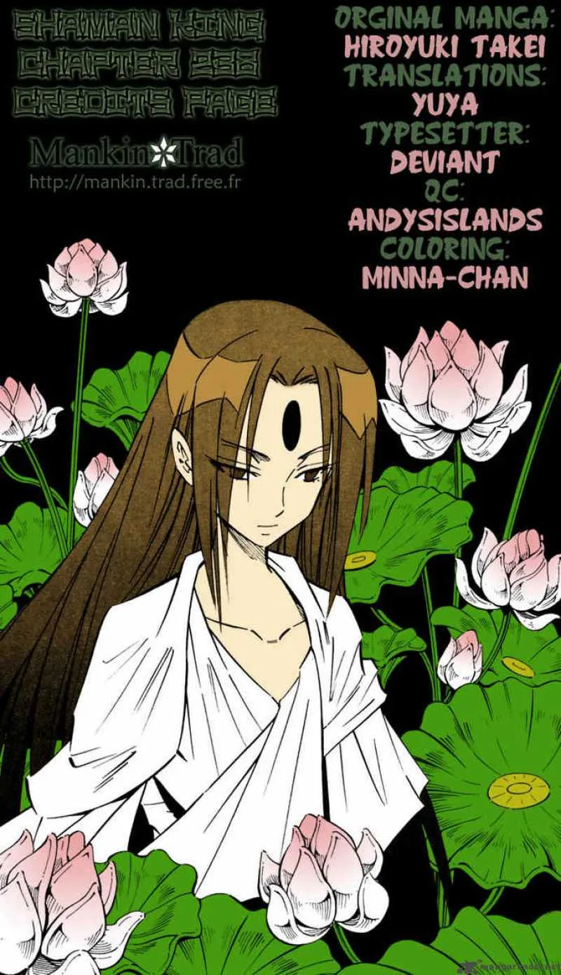Shaman King Chapter 238 page 19