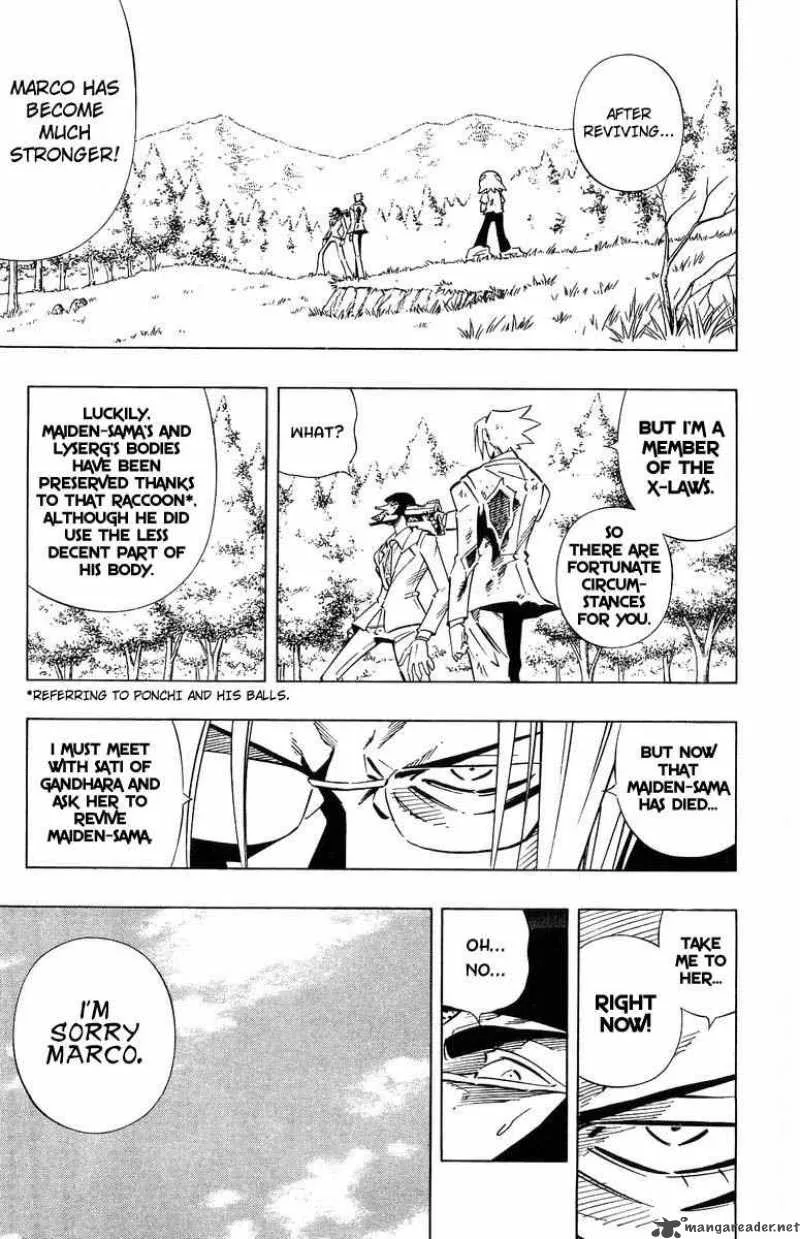 Shaman King Chapter 242 page 10