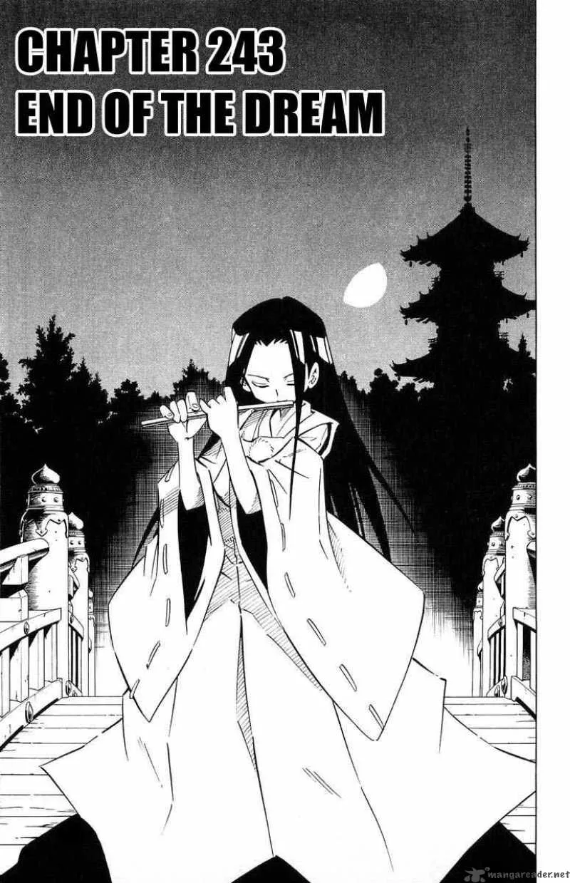 Shaman King Chapter 243 page 3