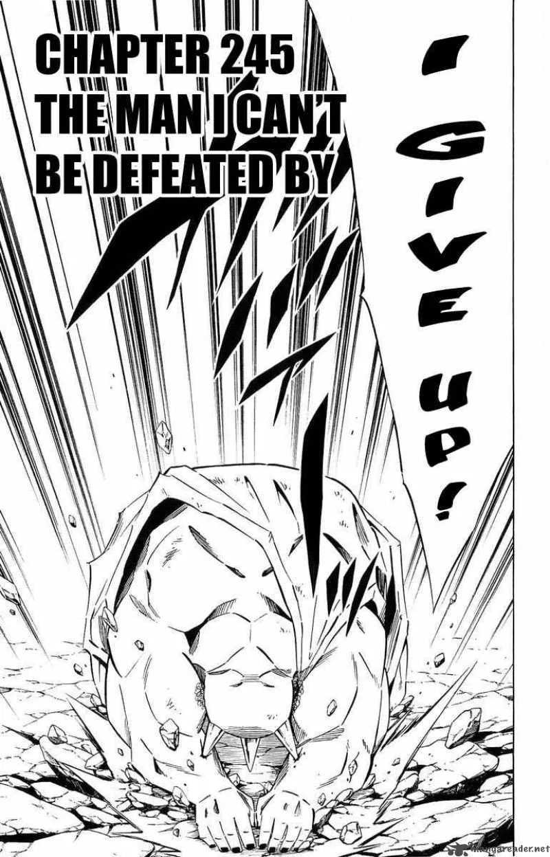 Shaman King Chapter 245 page 3