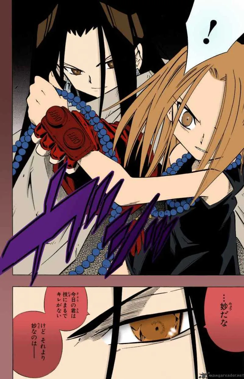 Shaman King Chapter 245 page 13