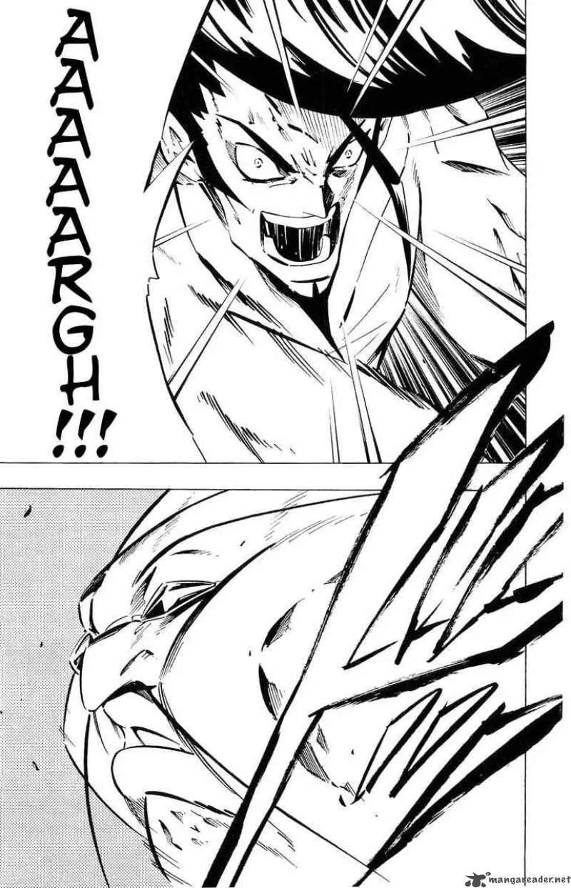 Shaman King Chapter 245 page 18