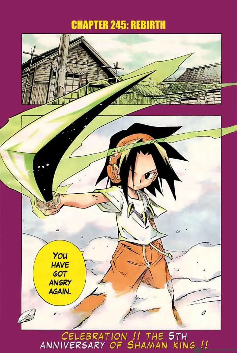 Shaman King Chapter 246 page 1