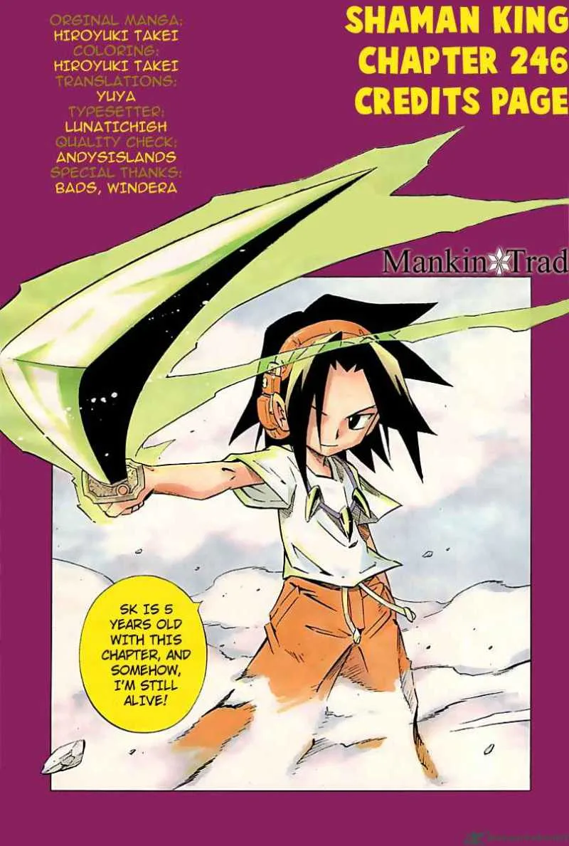 Shaman King Chapter 246 page 19