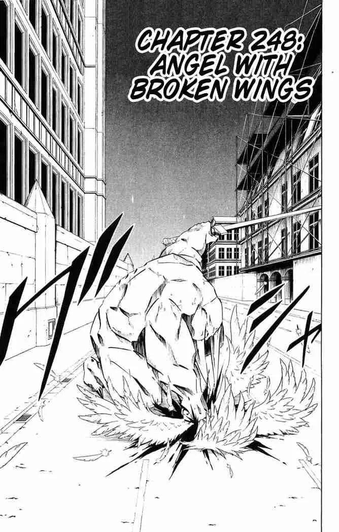 Shaman King Chapter 248 page 1