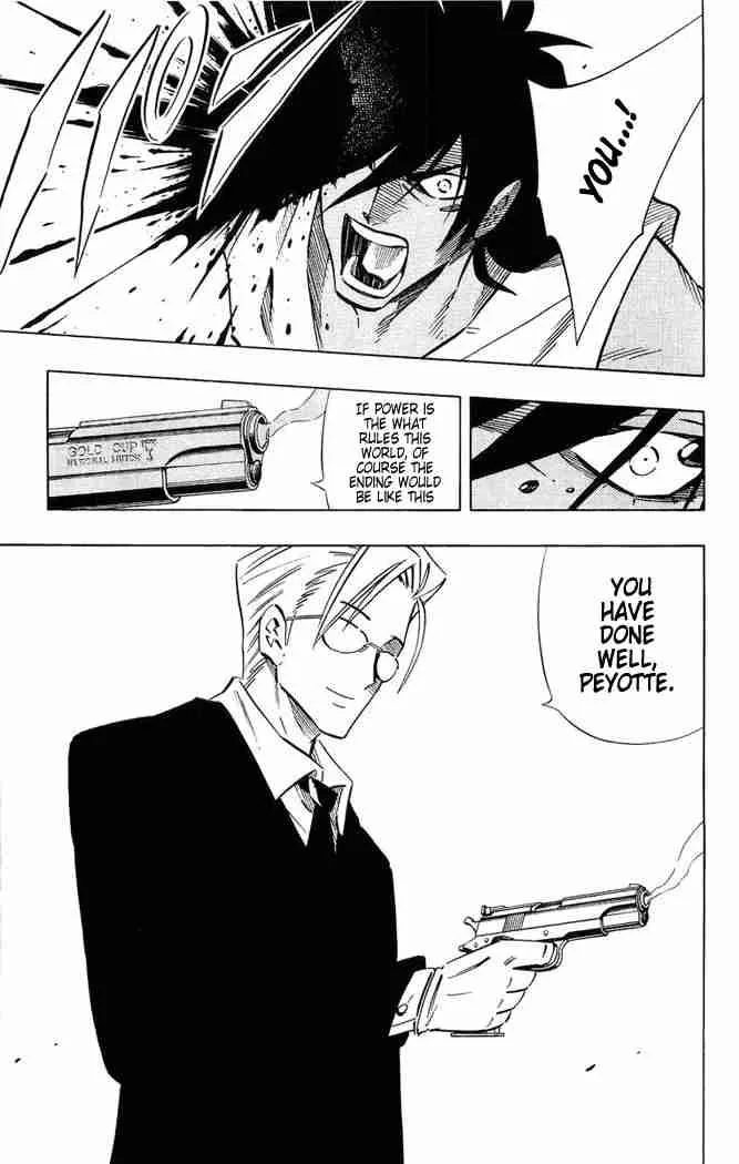 Shaman King Chapter 248 page 17