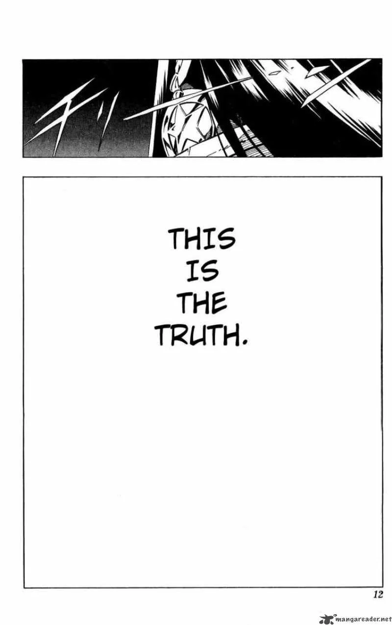 Shaman King Chapter 249 page 4