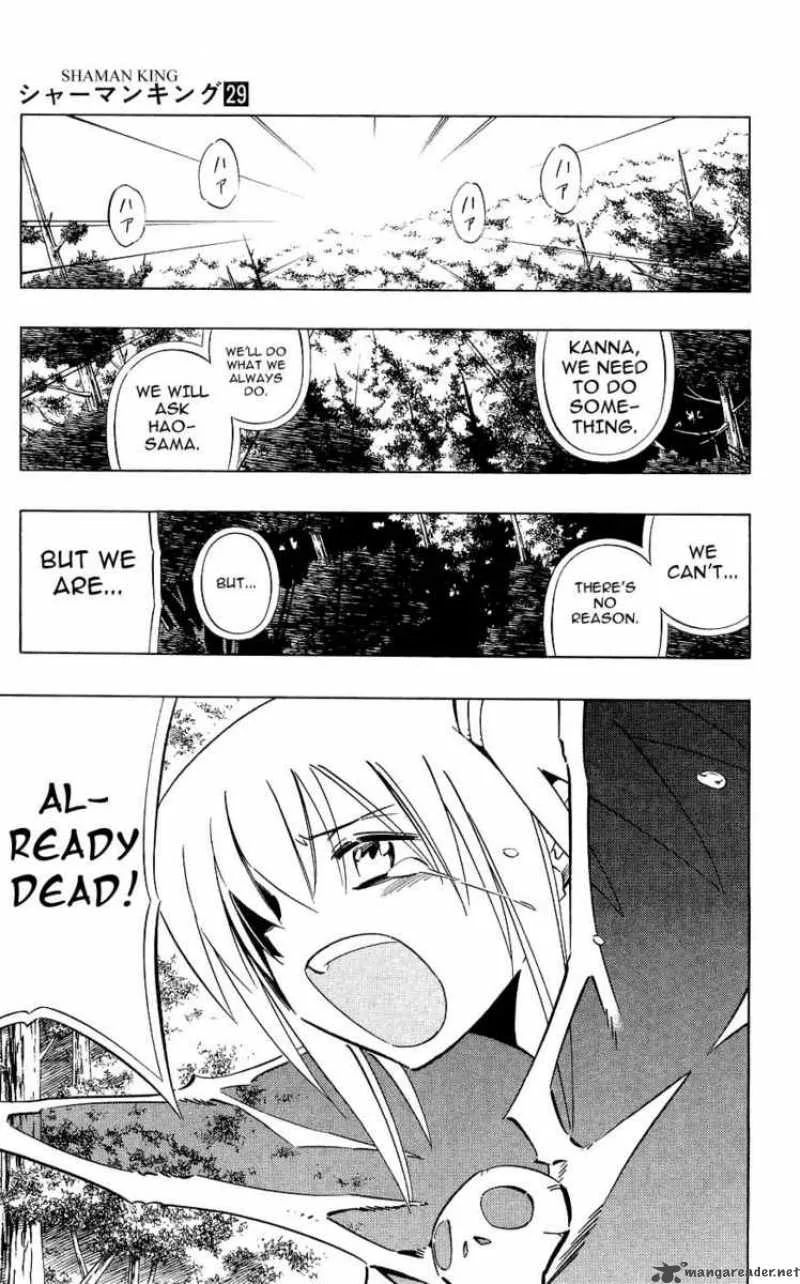 Shaman King Chapter 249 page 14