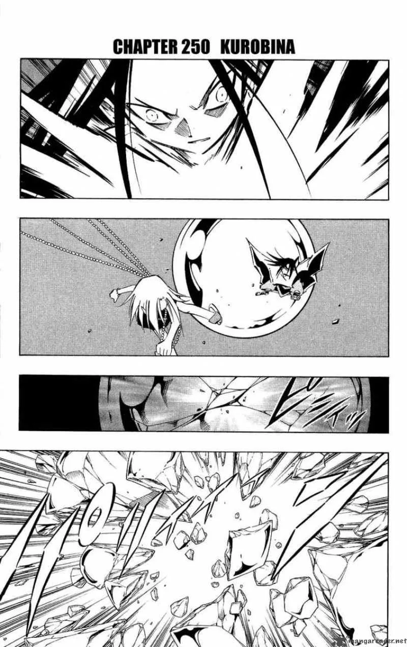 Shaman King Chapter 250 page 1