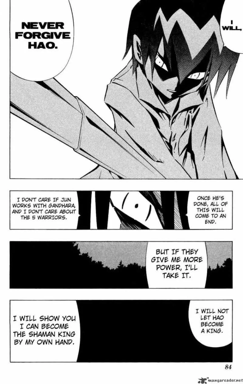 Shaman King Chapter 252 page 18