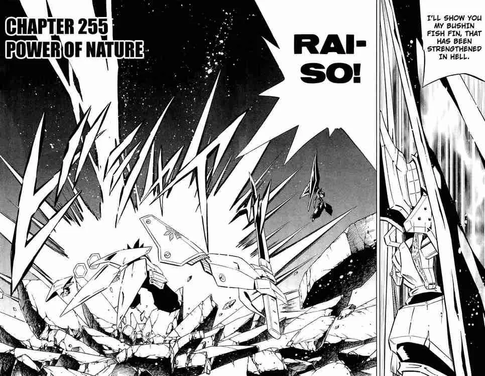 Shaman King Chapter 255 page 2