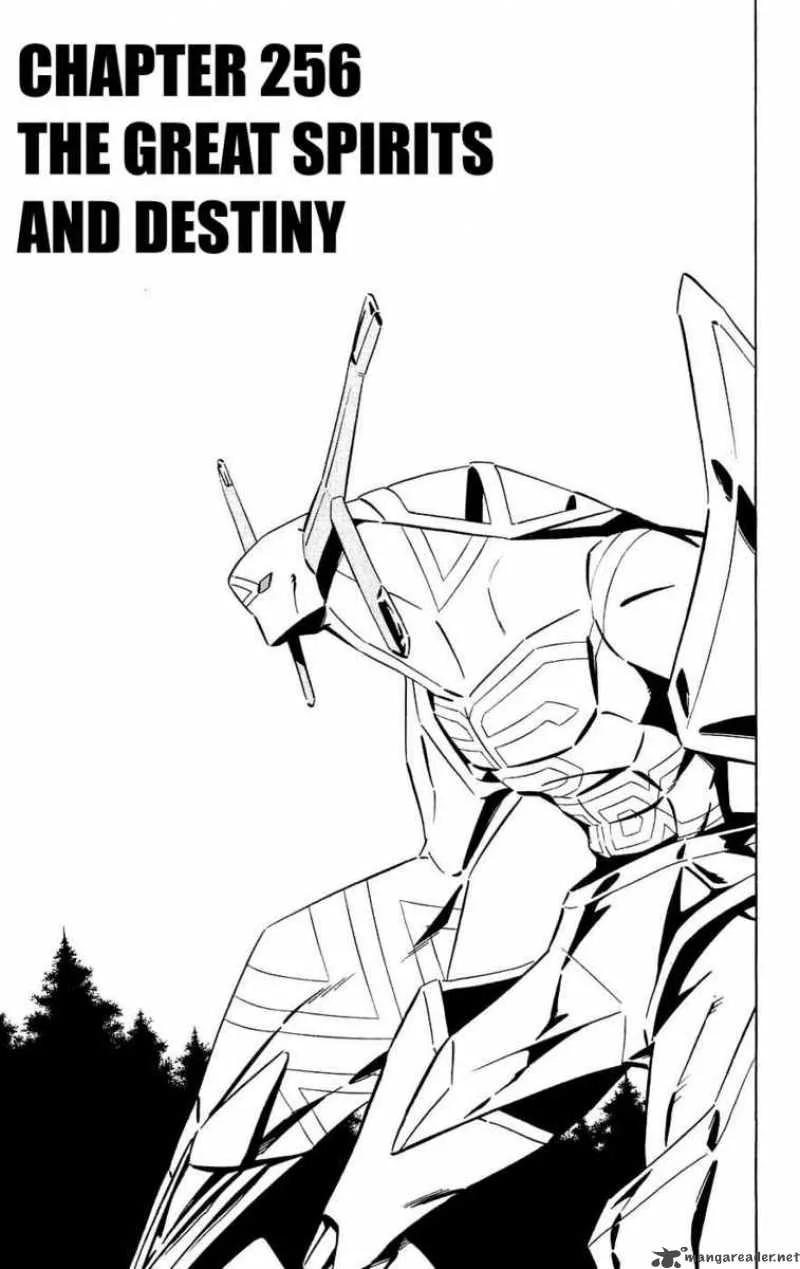 Shaman King Chapter 256 page 3