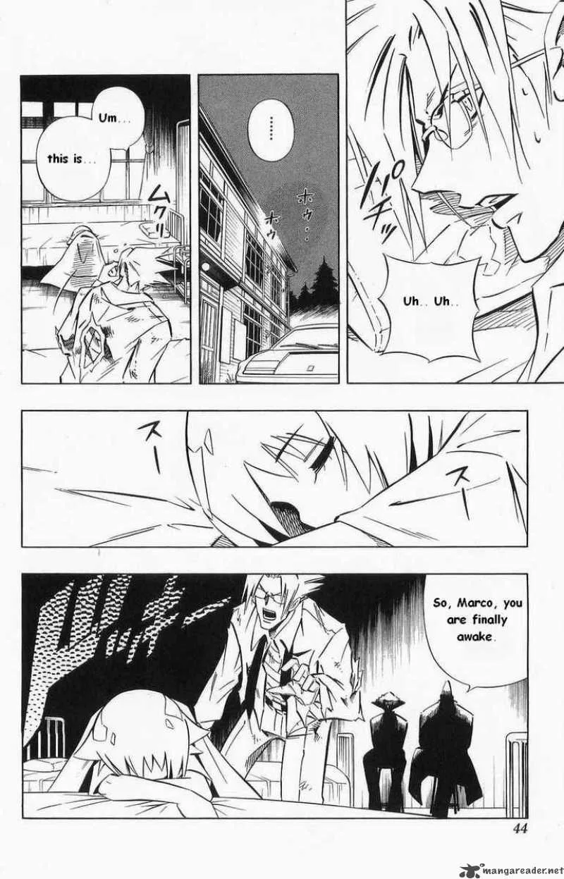 Shaman King Chapter 259 page 18