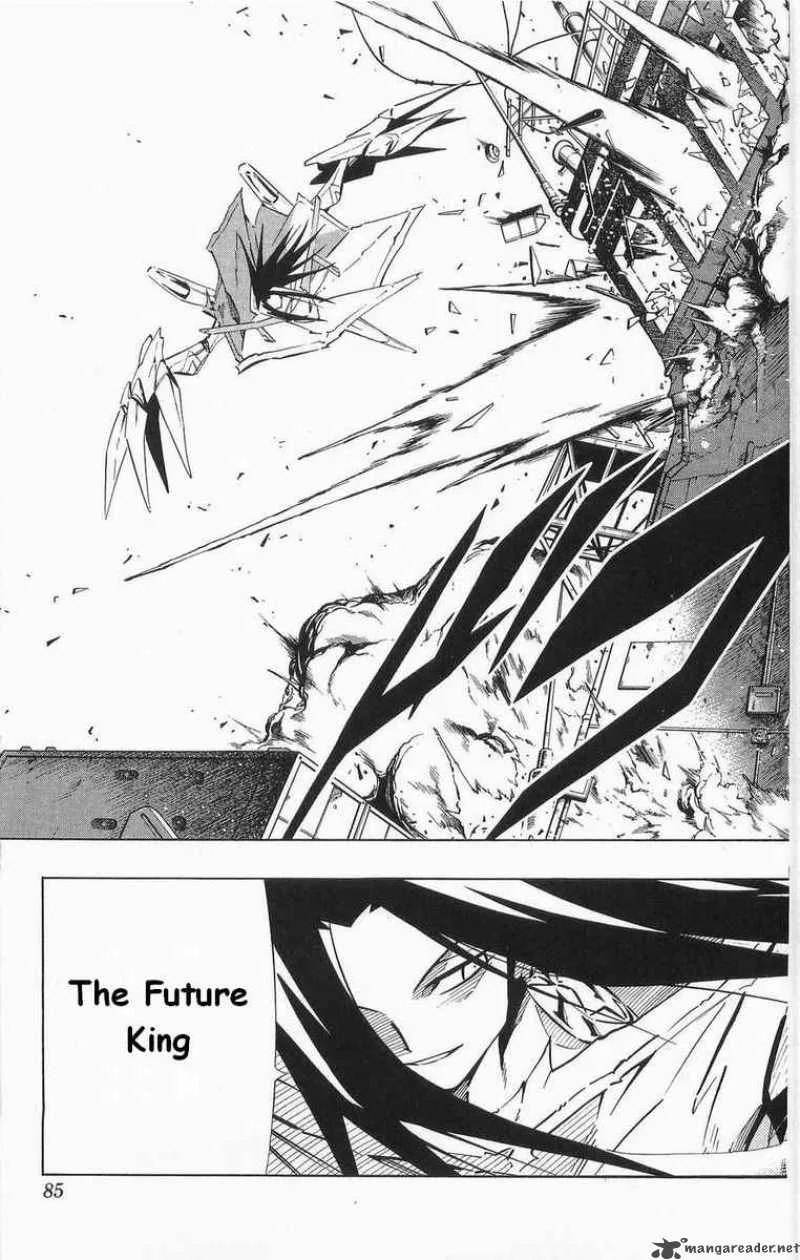 Shaman King Chapter 261 page 15