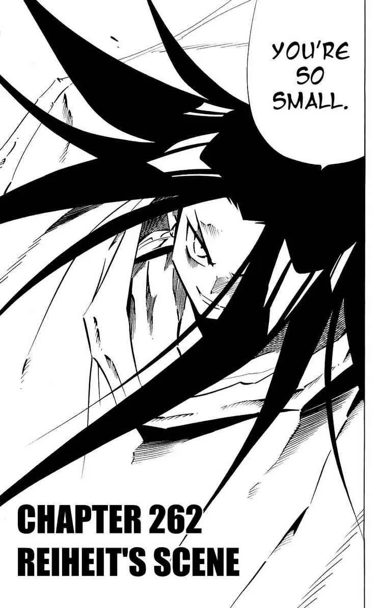 Shaman King Chapter 262 page 3