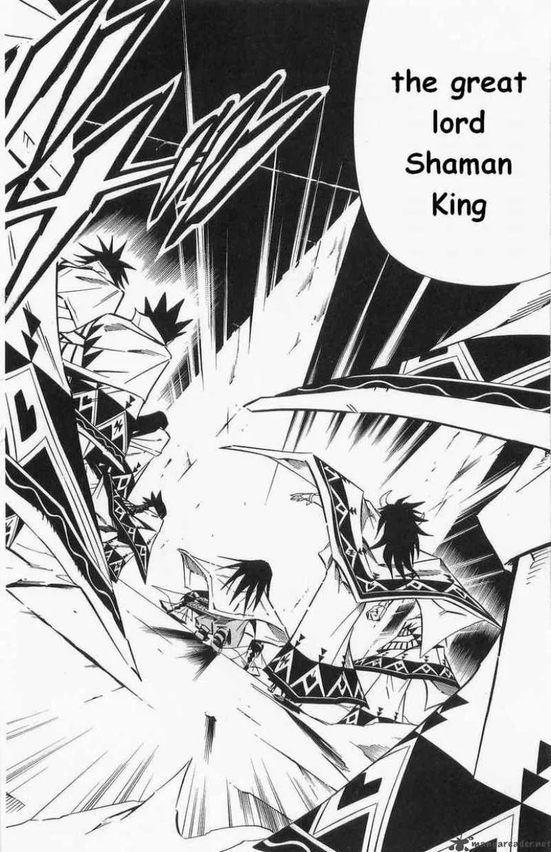 Shaman King Chapter 264 page 12