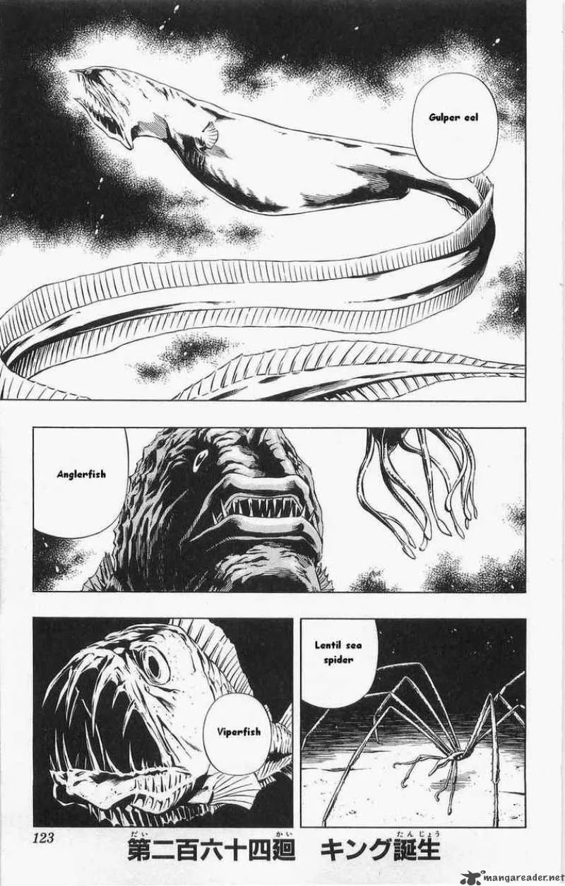 Shaman King Chapter 264 page 1