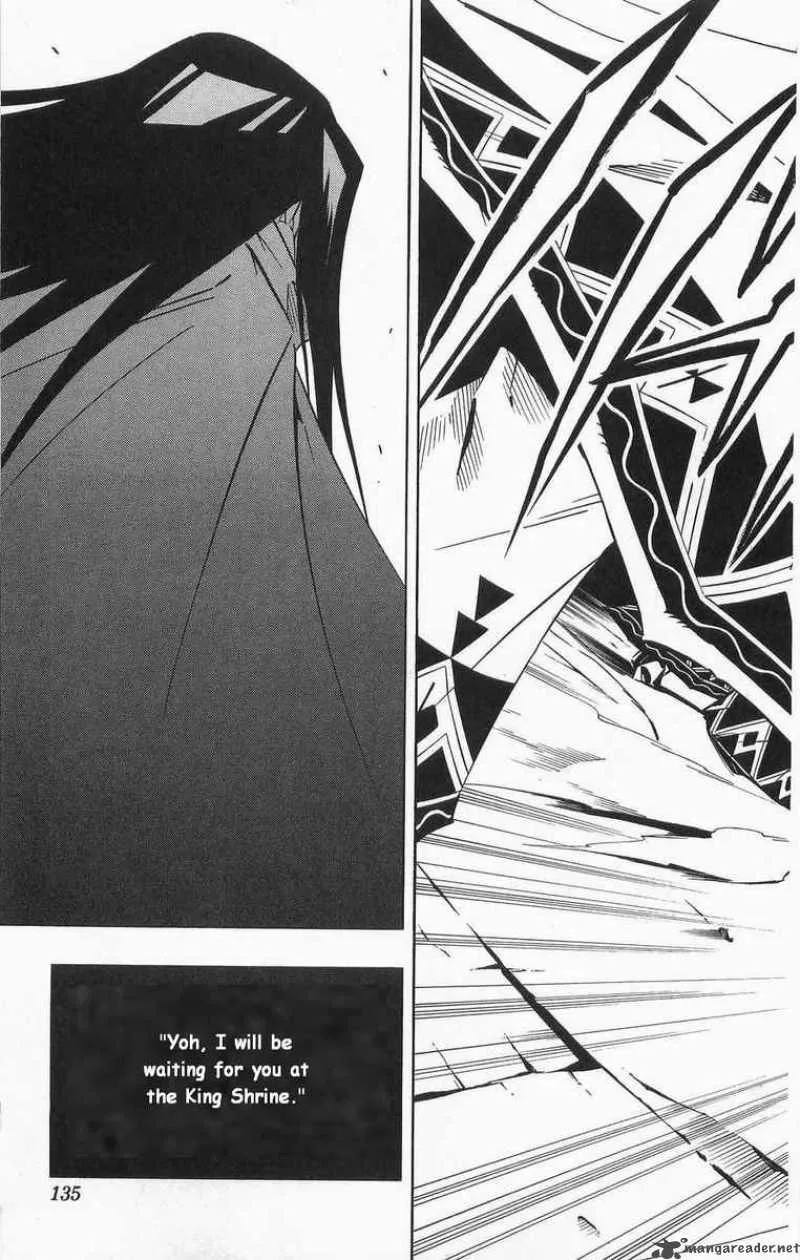 Shaman King Chapter 264 page 13