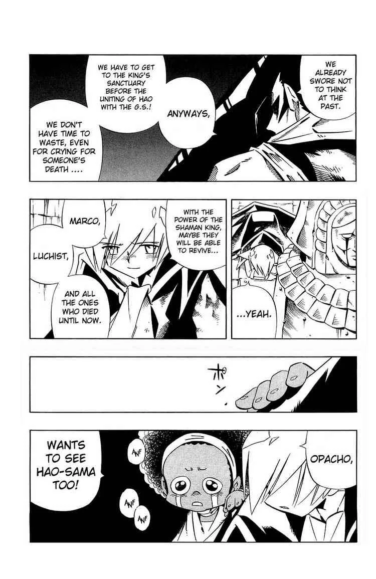 Shaman King Chapter 265 page 5