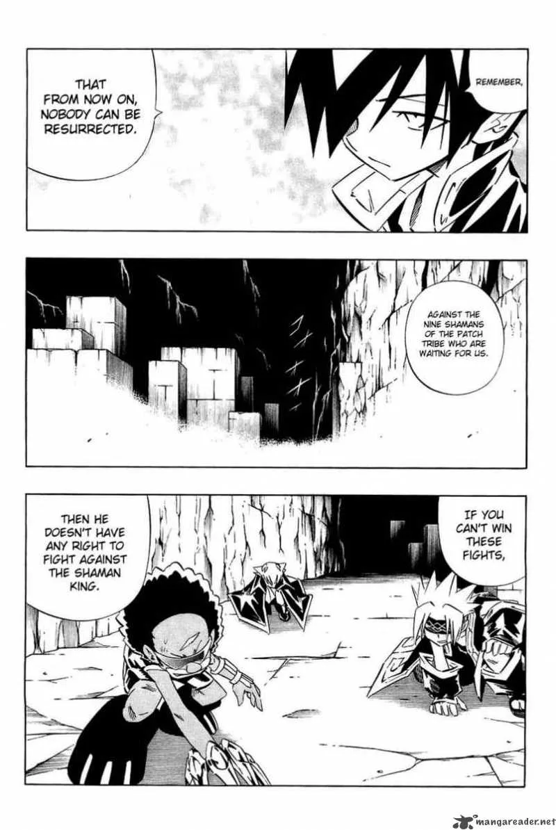 Shaman King Chapter 266 page 8