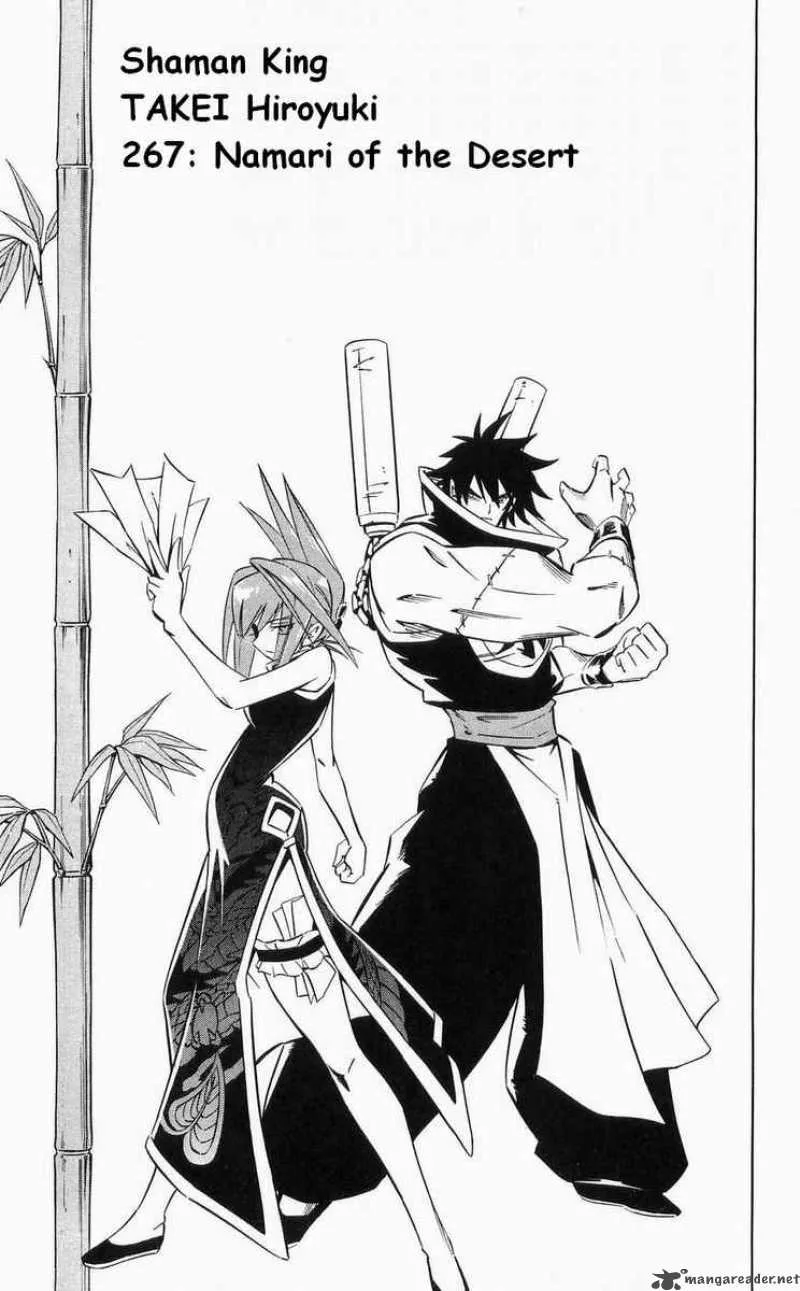Shaman King Chapter 267 page 4