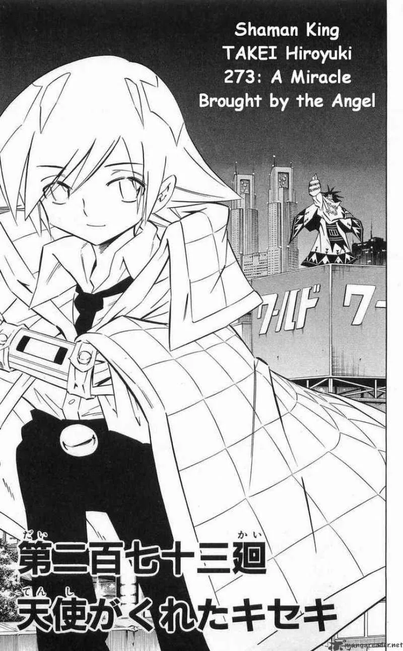 Shaman King Chapter 273 page 3