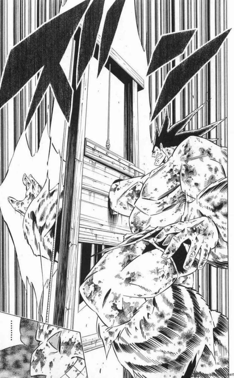 Shaman King Chapter 273 page 9