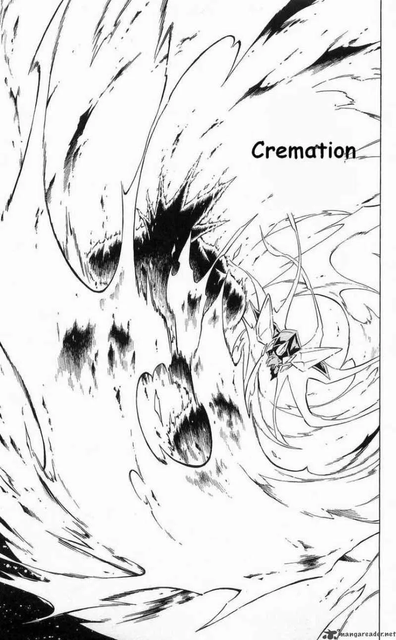 Shaman King Chapter 273 page 19