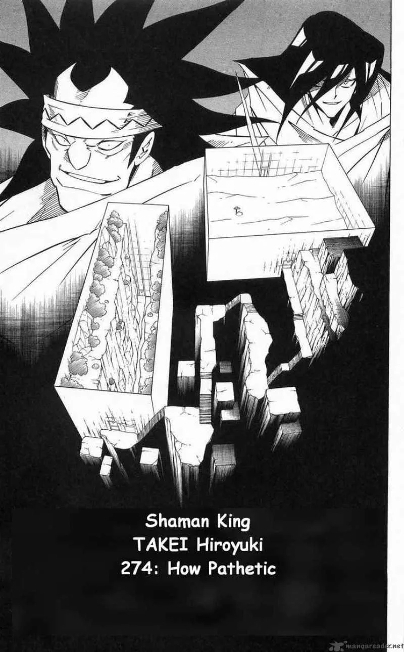 Shaman King Chapter 274 page 3