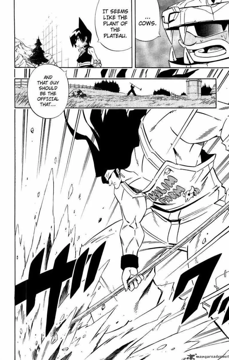 Shaman King Chapter 282 page 8