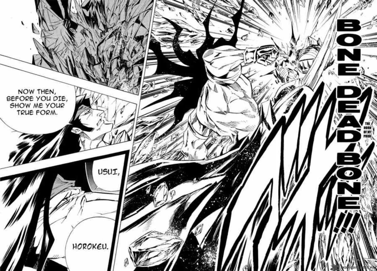 Shaman King Chapter 287 page 15