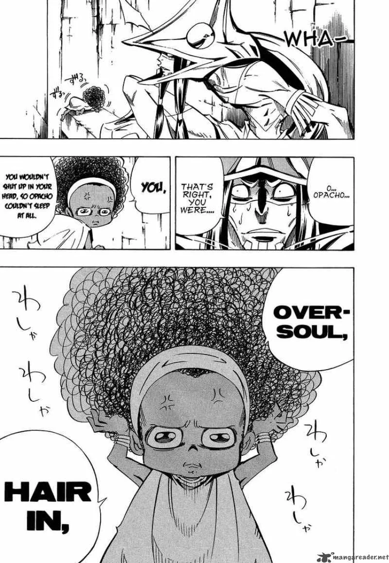 Shaman King Chapter 289 page 13
