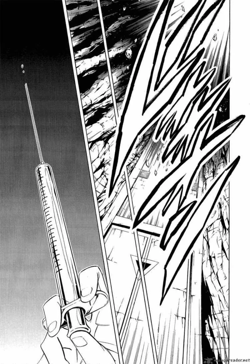 Shaman King Chapter 291 page 13