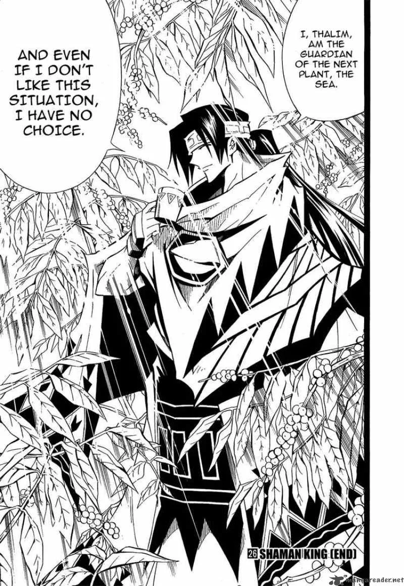 Shaman King Chapter 291 page 19
