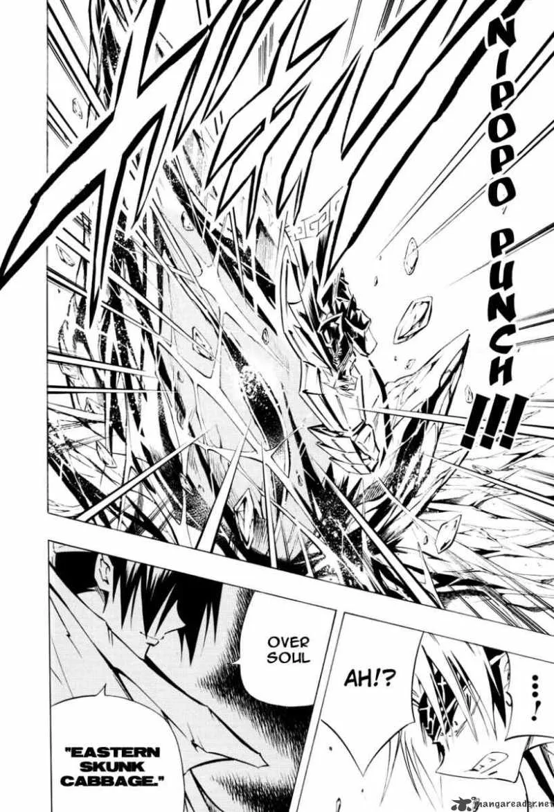 Shaman King Chapter 292 page 15