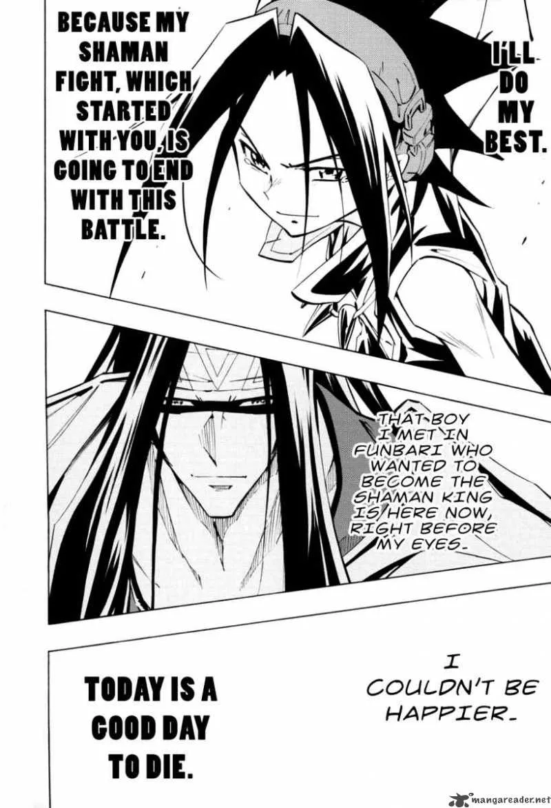 Shaman King Chapter 294 page 9
