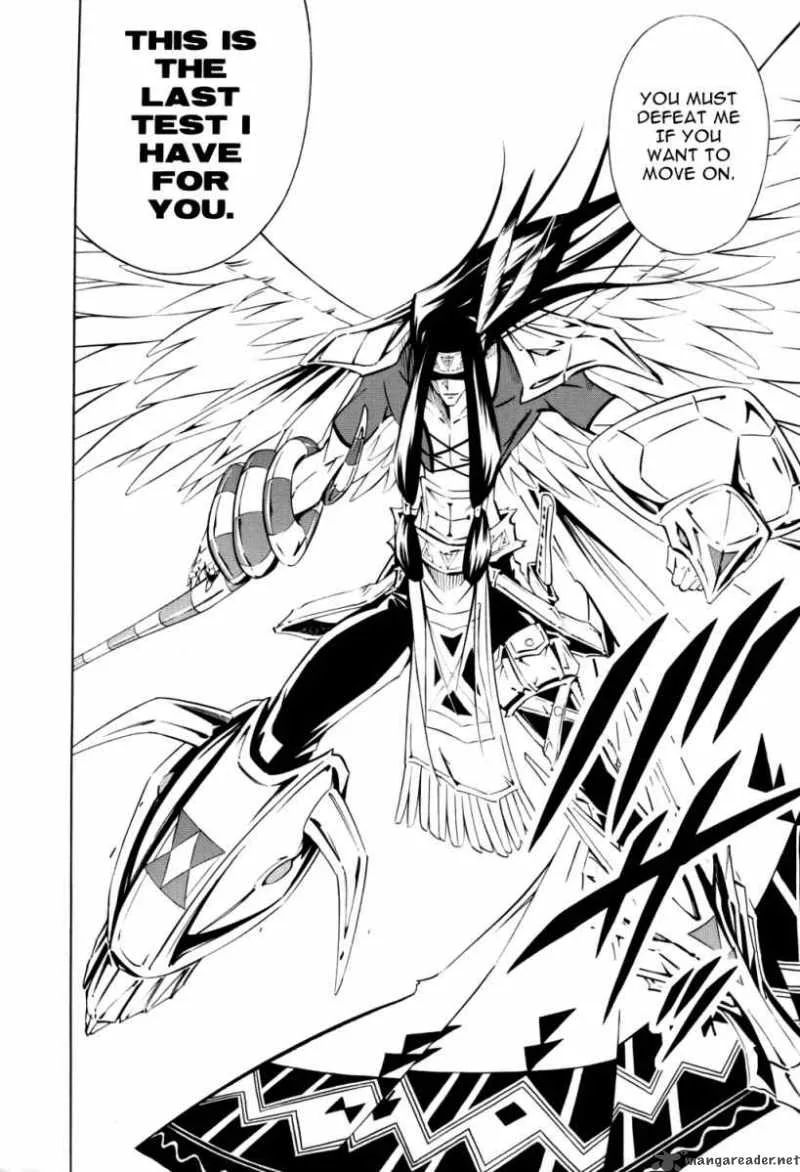 Shaman King Chapter 294 page 7