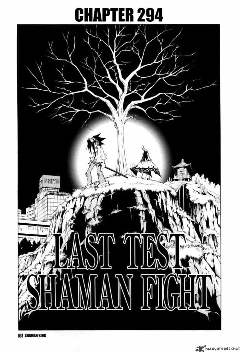 Shaman King Chapter 294 page 4
