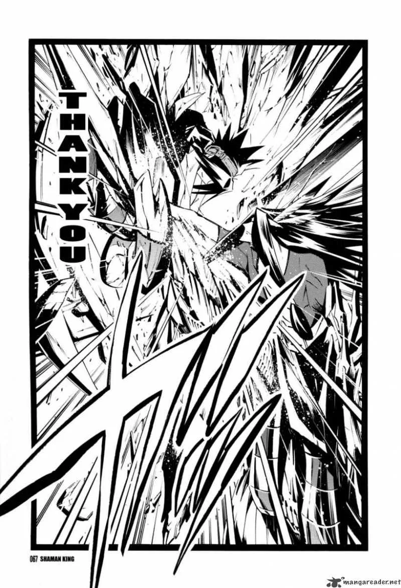 Shaman King Chapter 294 page 18