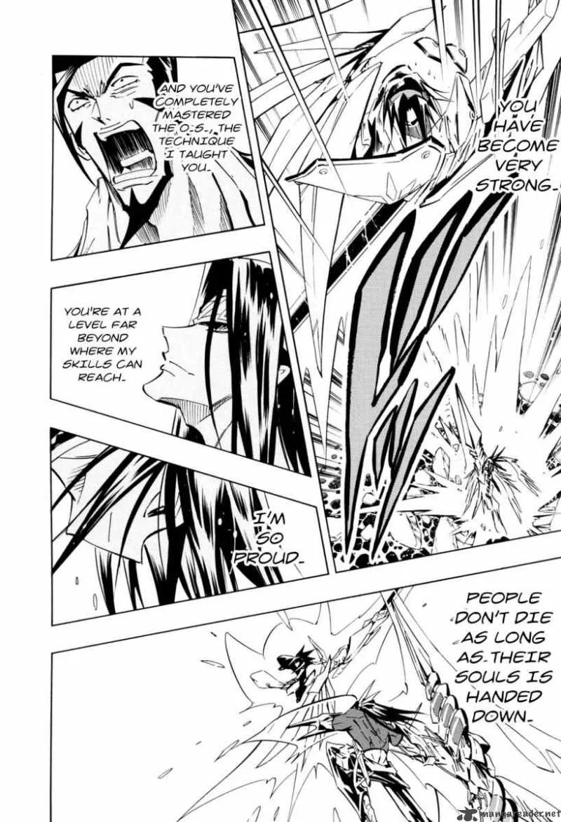 Shaman King Chapter 294 page 17