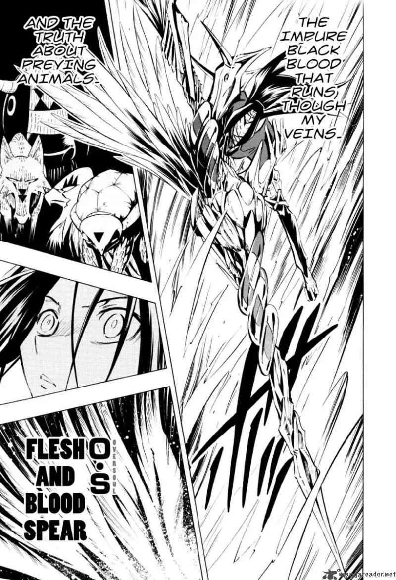 Shaman King Chapter 294 page 14