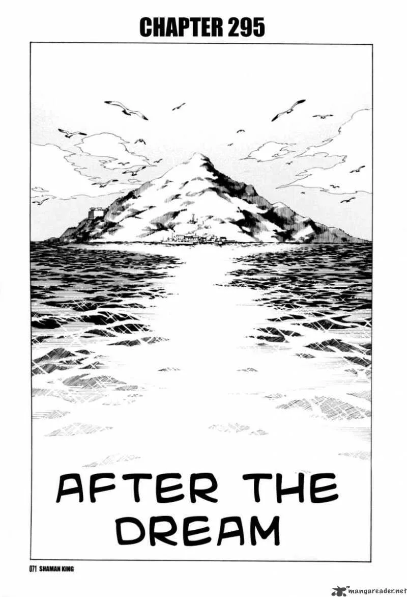 Shaman King Chapter 295 page 4