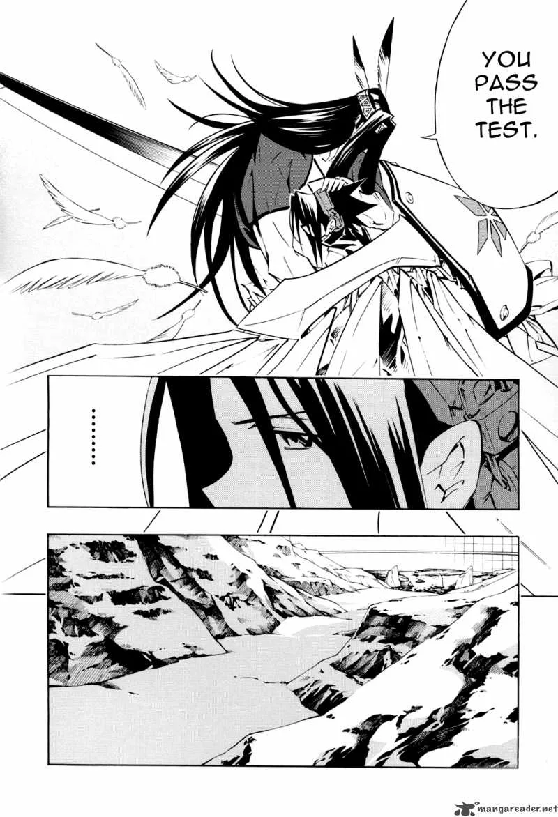 Shaman King Chapter 295 page 3