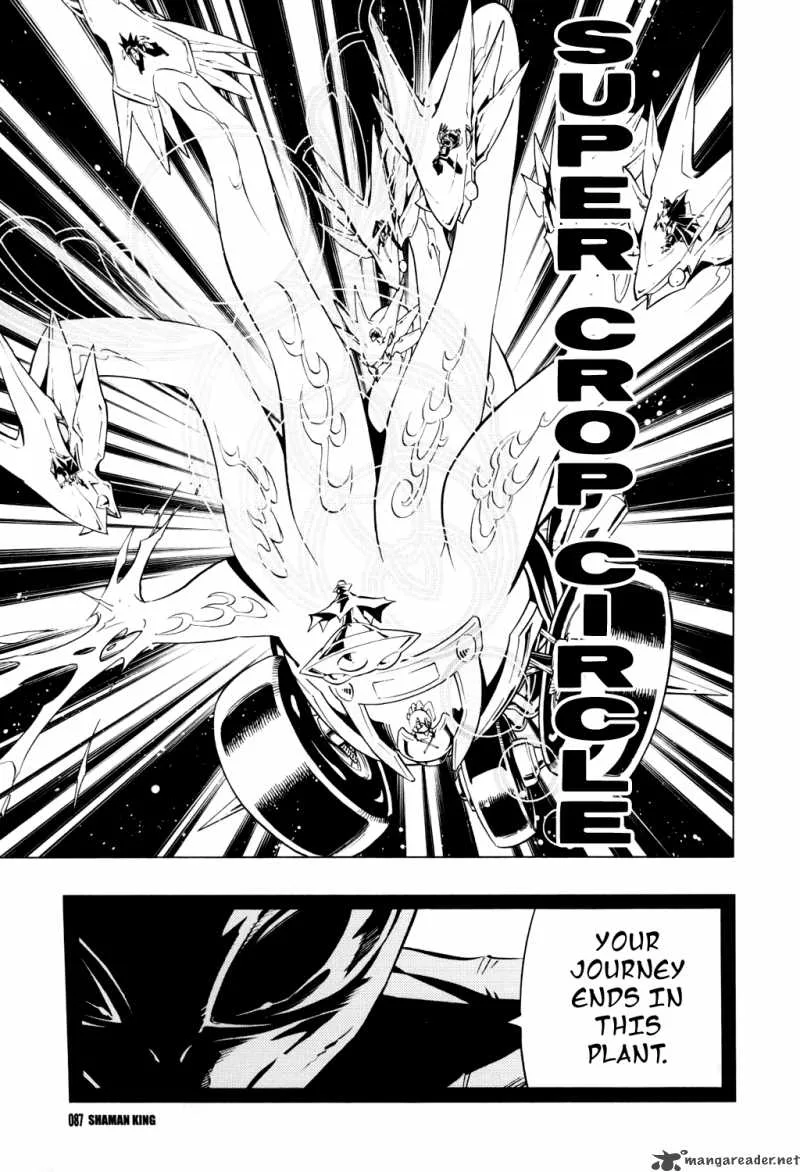 Shaman King Chapter 295 page 20