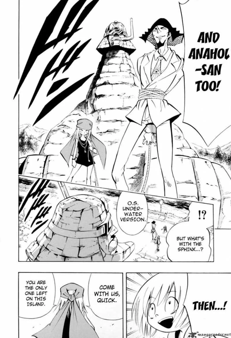 Shaman King Chapter 295 page 9