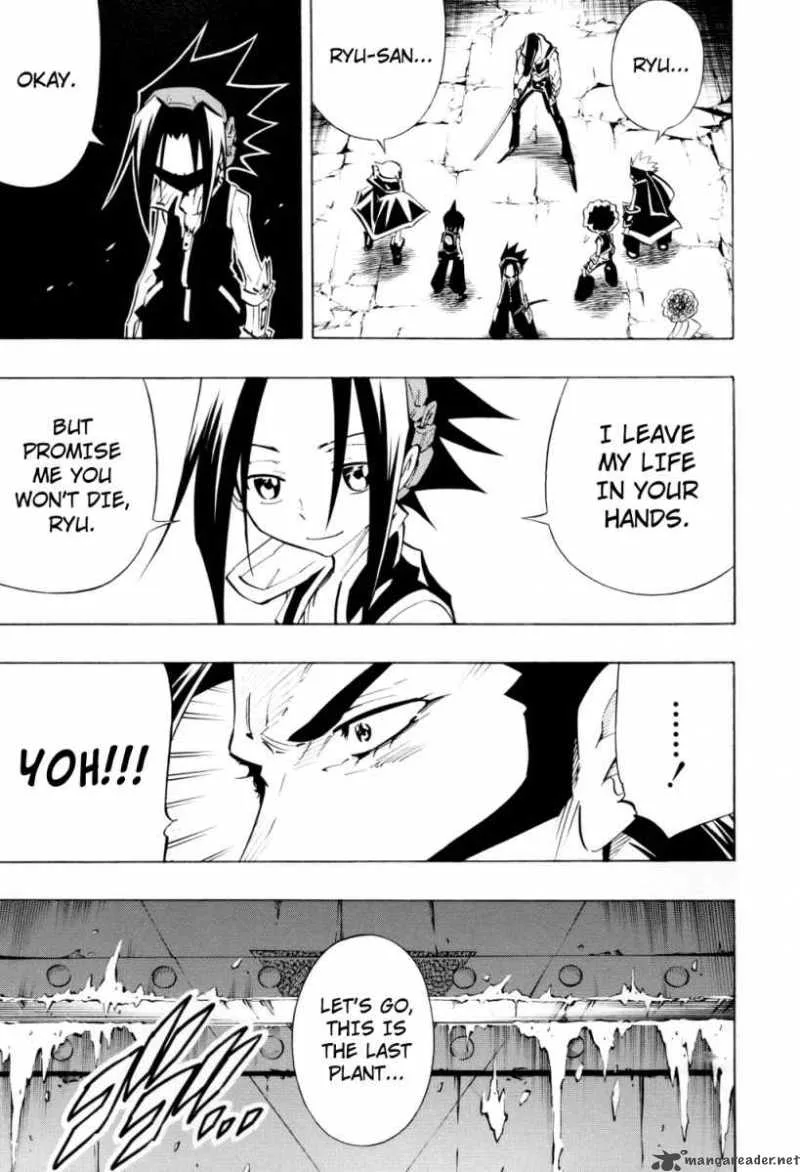 Shaman King Chapter 295 page 14