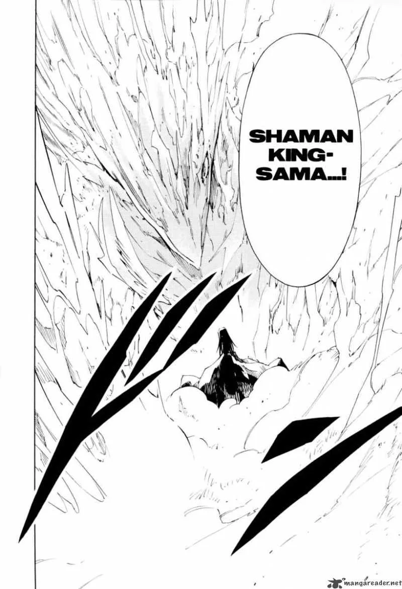 Shaman King Chapter 297 page 13